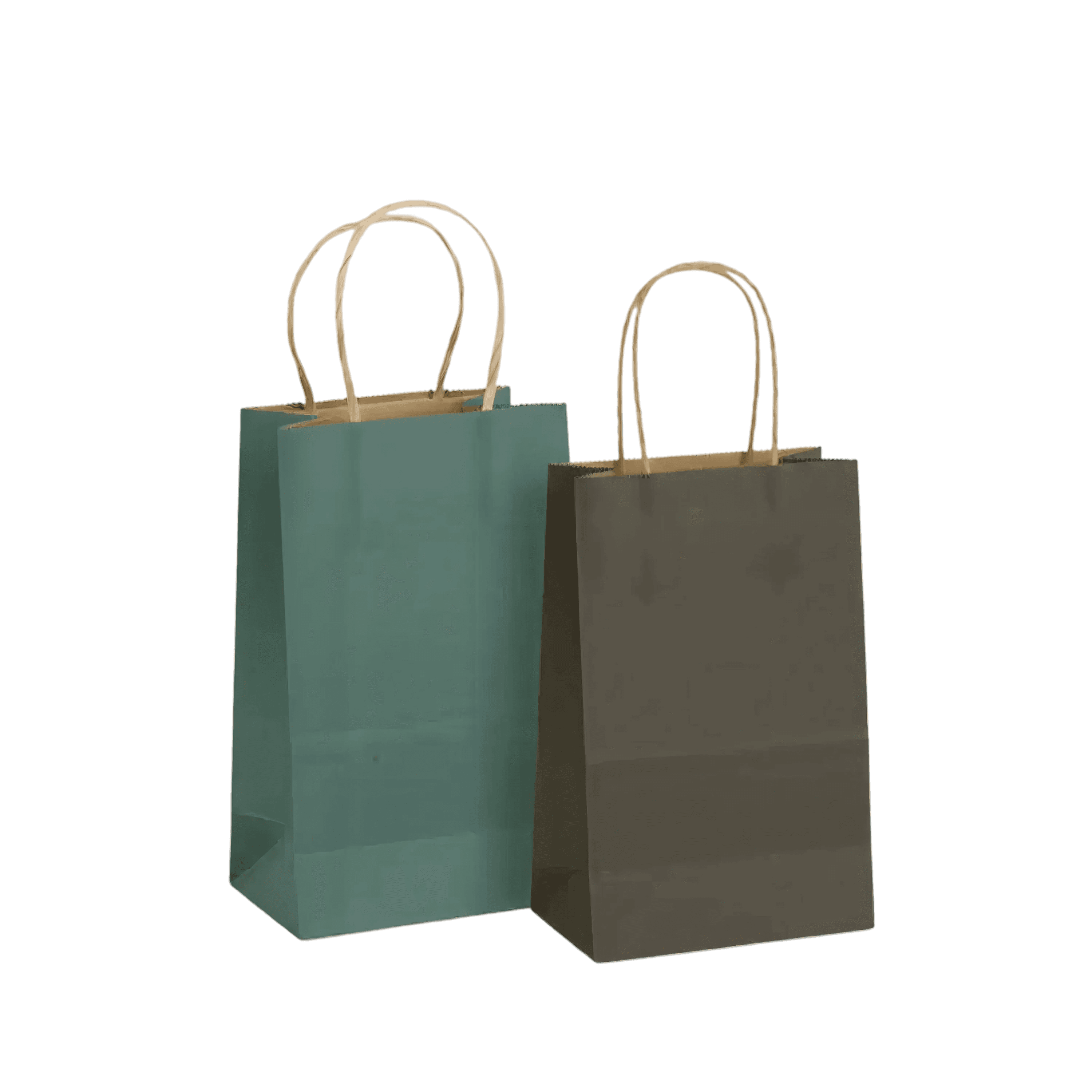 Recycled Paper Bags