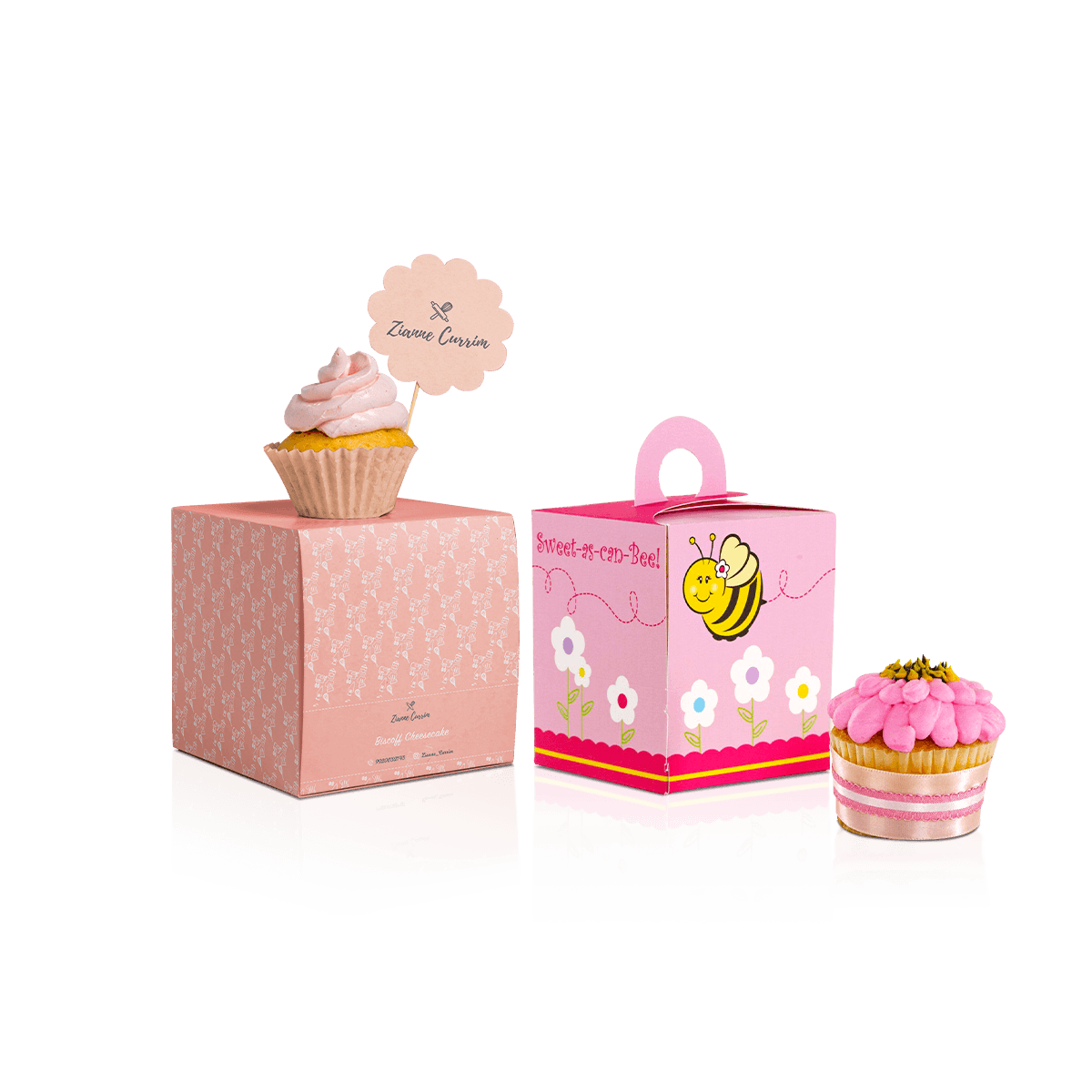 Cupcake Boxes