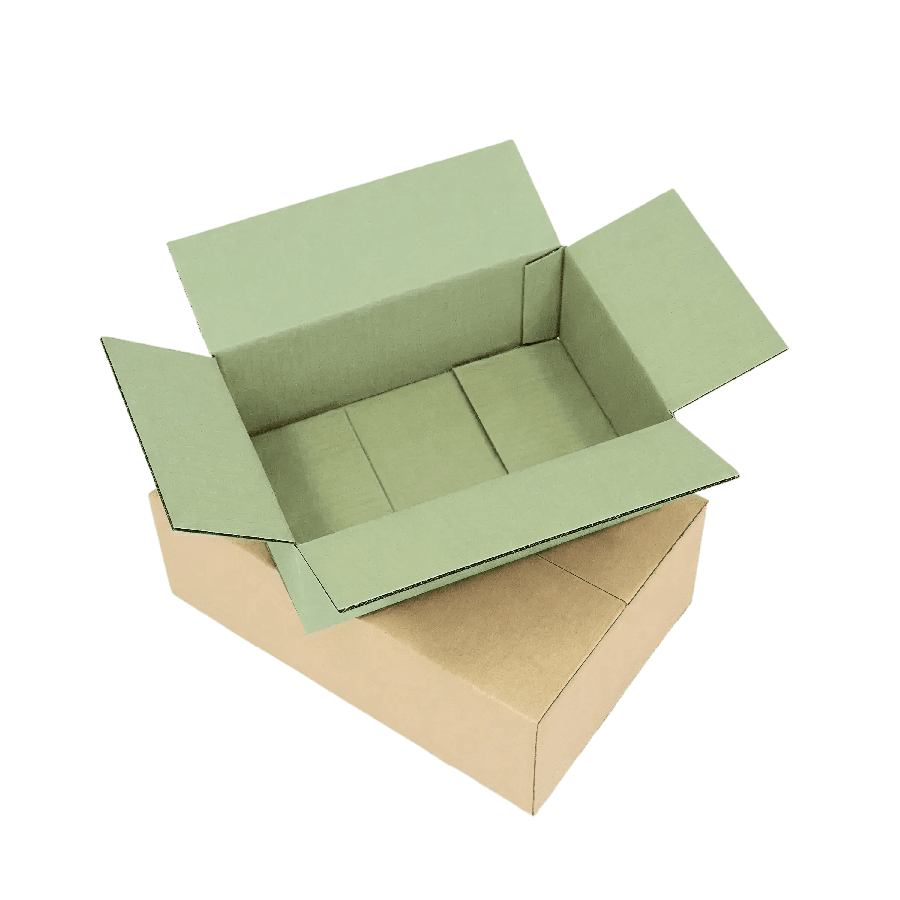 Regular Slotted Containers (RSC)