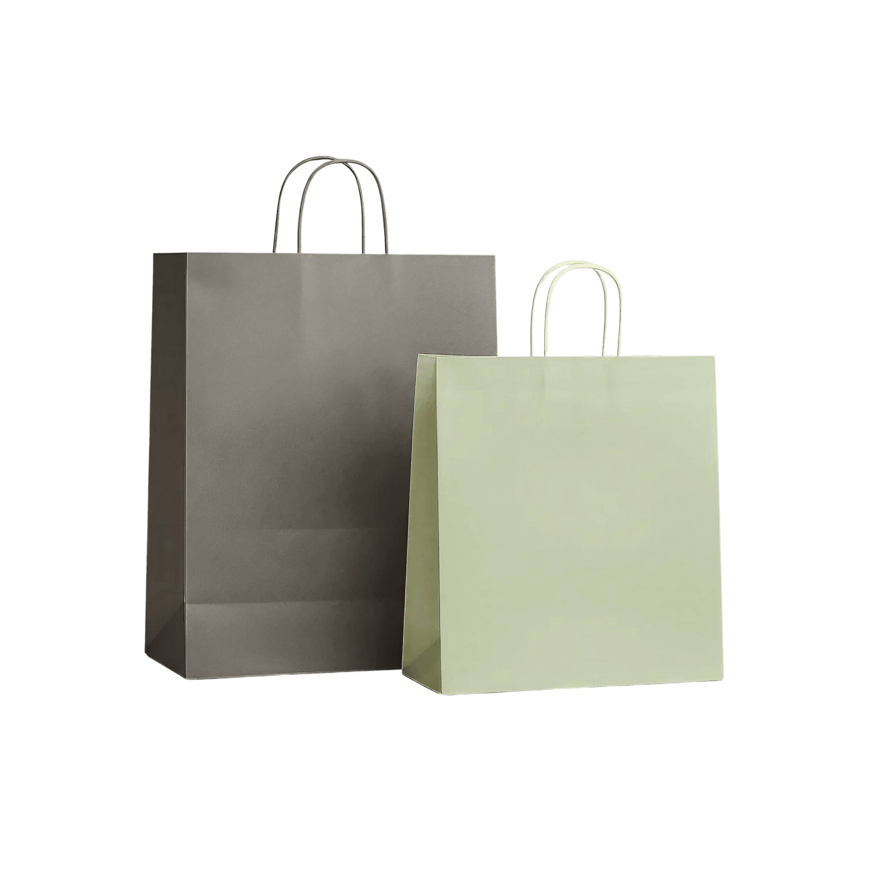 Merchandise Paper Bags