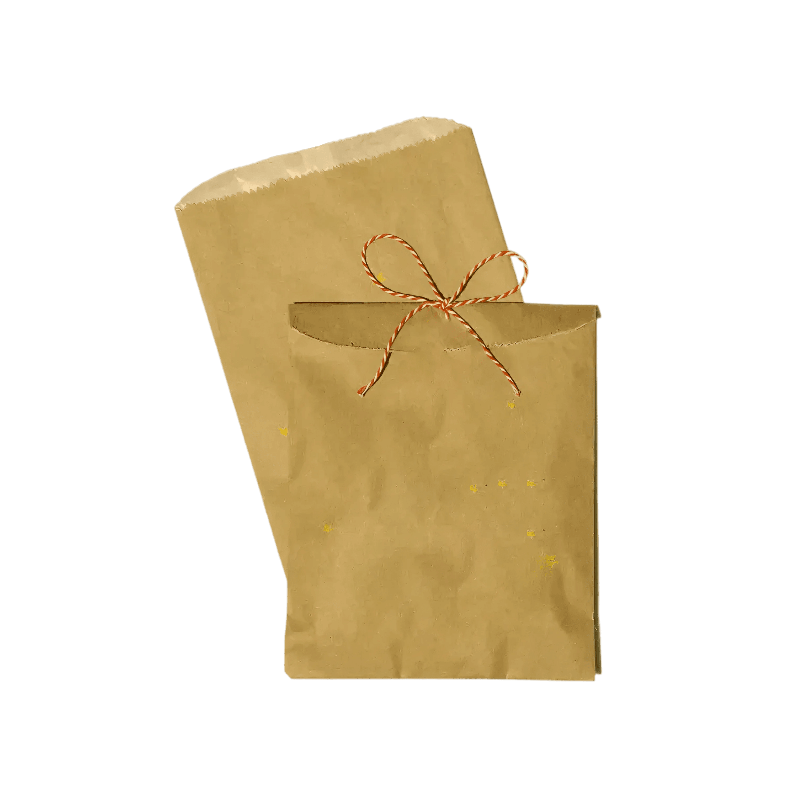 Party Paper Bags